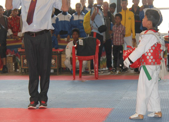 Taekwondo International Dojangs