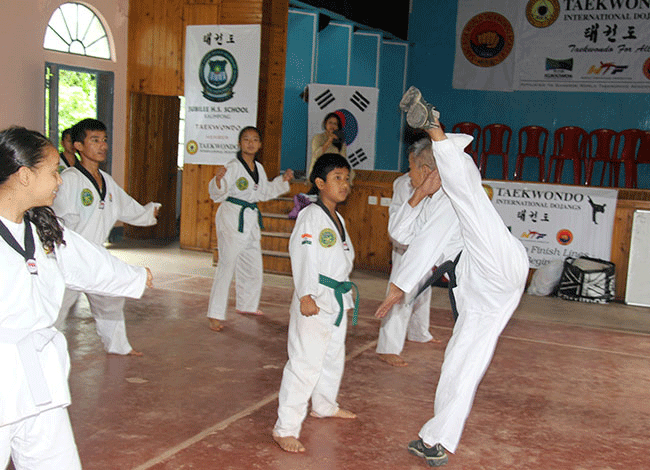 Taekwondo International Dojangs