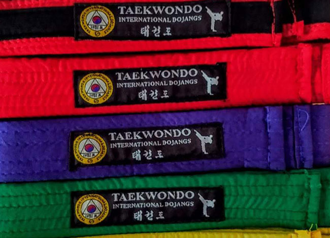 Taekwondo International Dojangs
