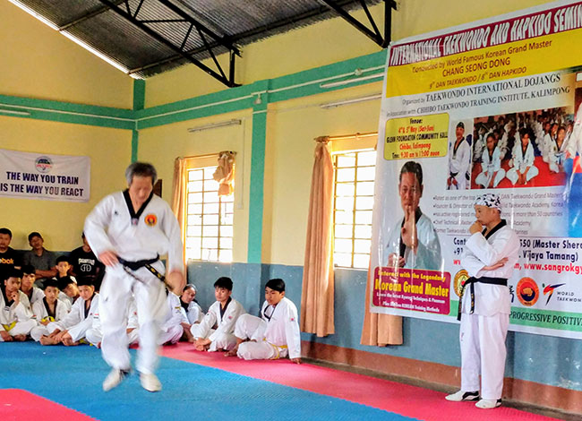 Taekwondo International Dojangs