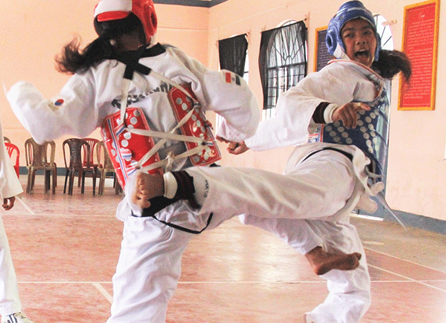 Taekwondo International Dojangs