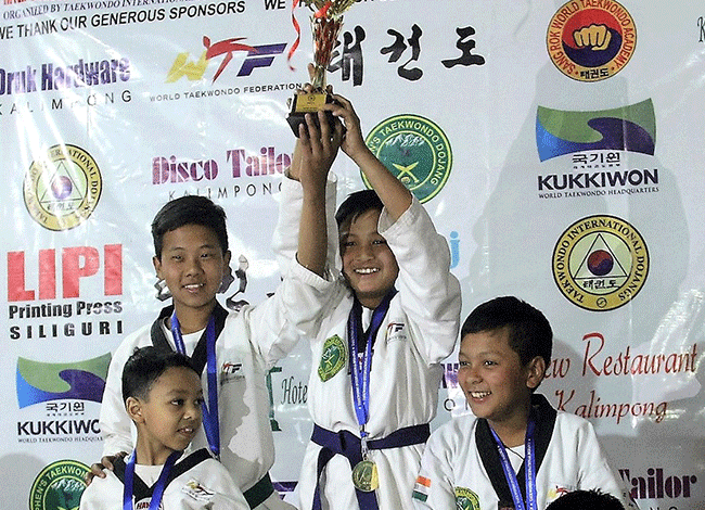 Taekwondo International Dojangs