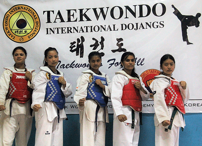 Taekwondo International Dojangs