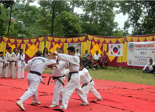 Taekwondo International Dojangs