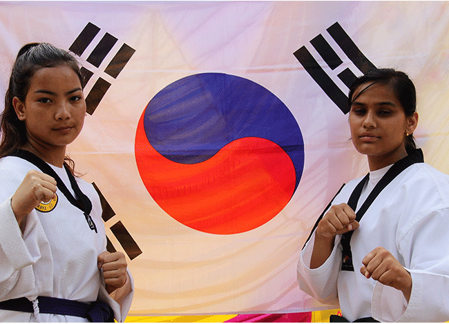 Taekwondo International Dojangs