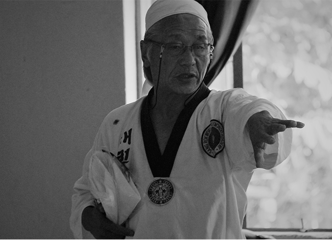 Taekwondo International Dojangs