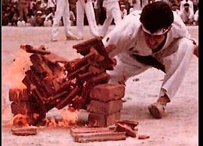 Taekwondo International Dojangs