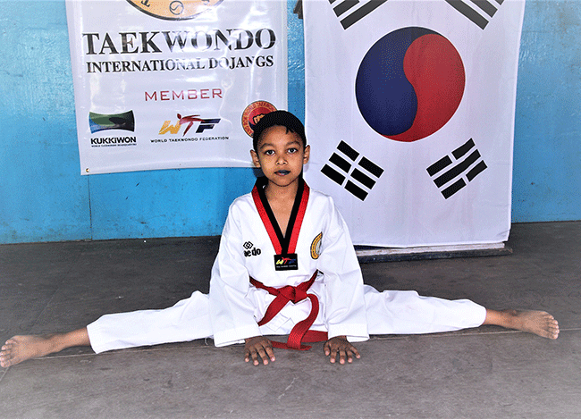 Taekwondo International Dojangs