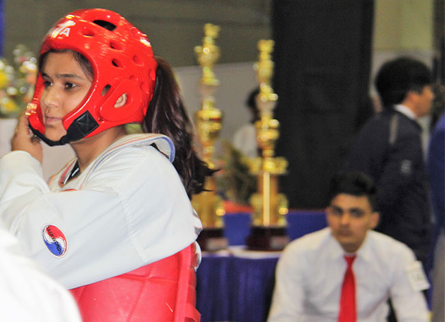 Taekwondo International Dojangs