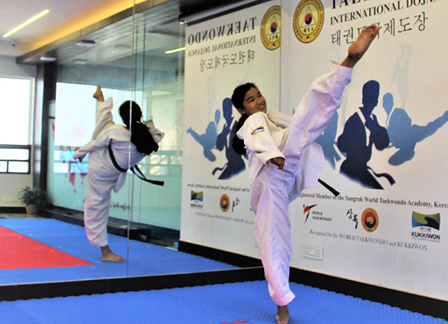 Taekwondo International Dojangs