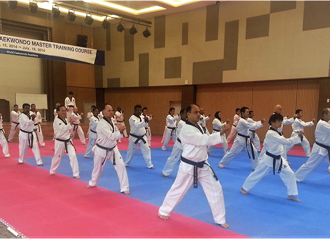 Taekwondo International Dojangs