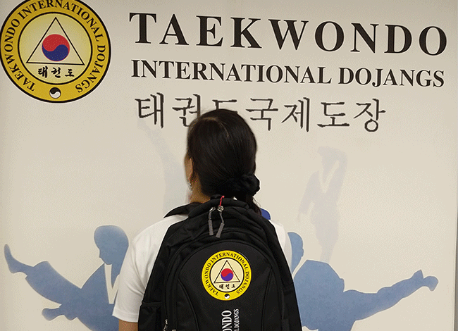 Taekwondo International Dojangs