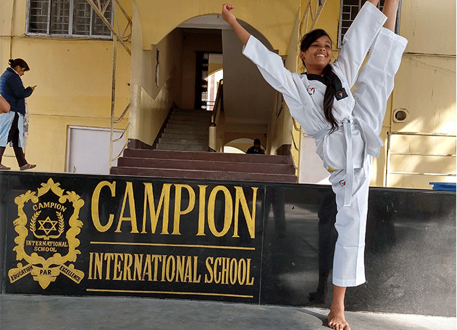 Taekwondo International Dojangs