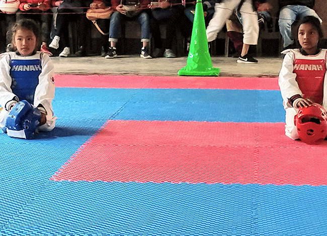 Taekwondo International Dojangs