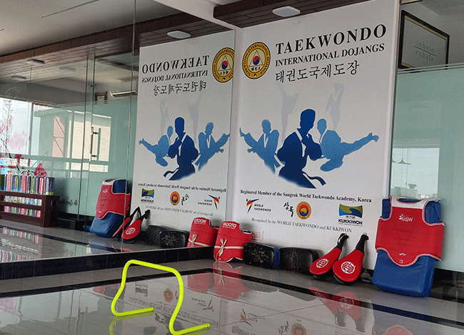 Taekwondo International Dojangs