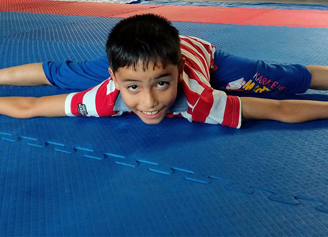 Taekwondo International Dojangs