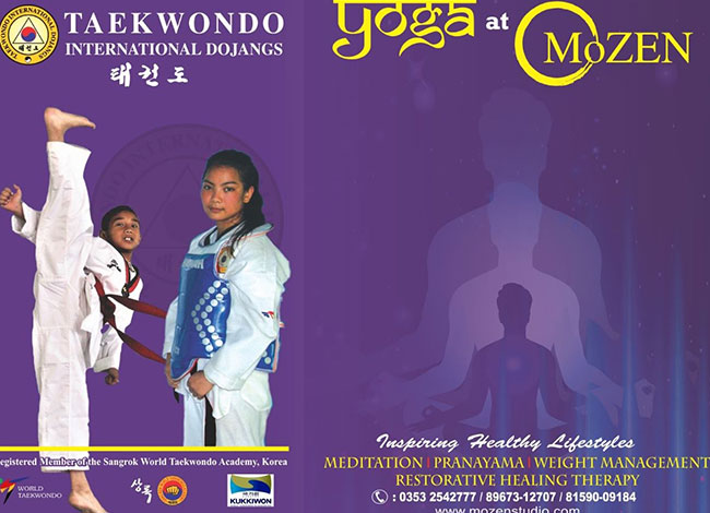 Taekwondo International Dojangs