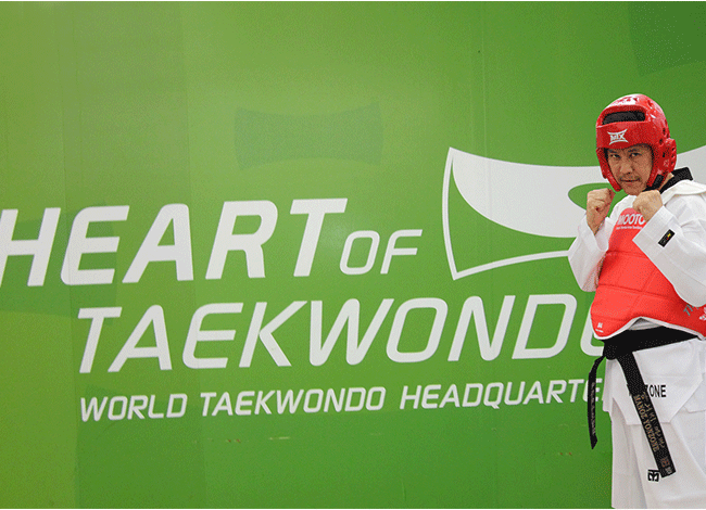 Taekwondo International Dojangs